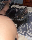 Анкета проститутки Таня - метро Южное Бутово, возраст - 22